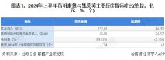 2024年医药制造外包行业龙头企业分析-药明康德:2024年上半年小分子DM管线